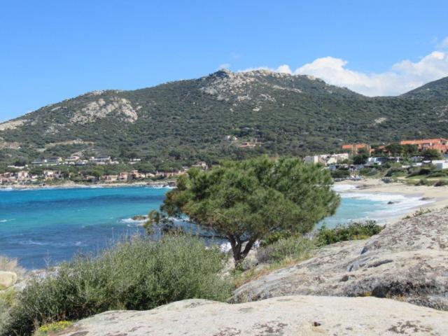 T2 Renove 100M Plage Avec Spa Privatif Entre Calvi Et Ile Rousse Lumio  Exterior foto